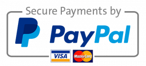 paypal-logo 2