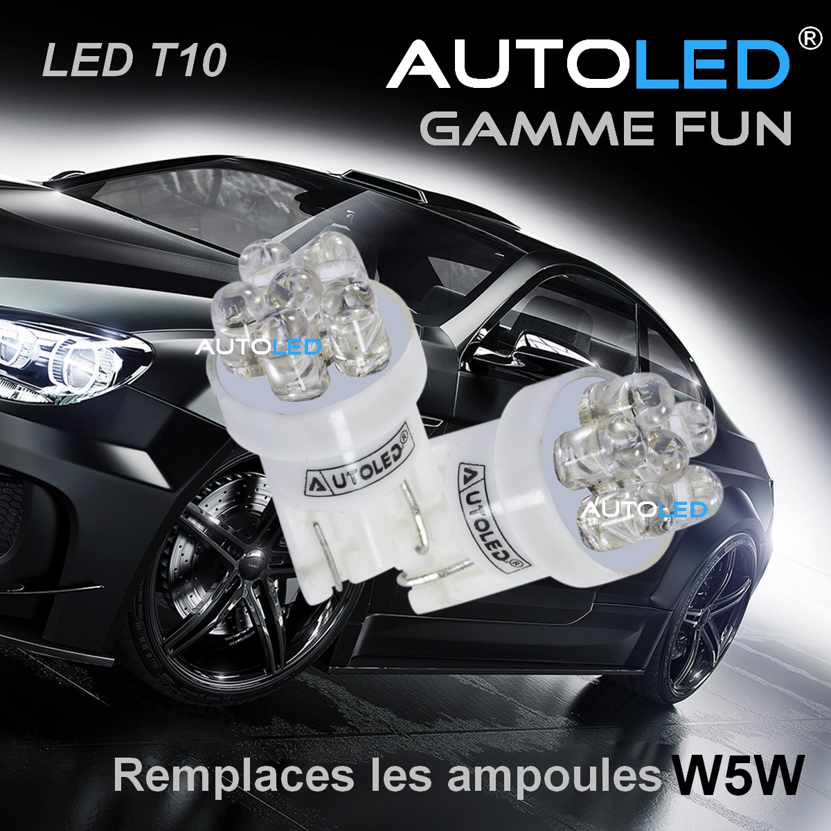 ampoules led voiture - led-t10-w5w 6-leds-blanc-autoled-eclairage-interieur-habitacle-feux-de-position-ref-0024.12-2jpg
