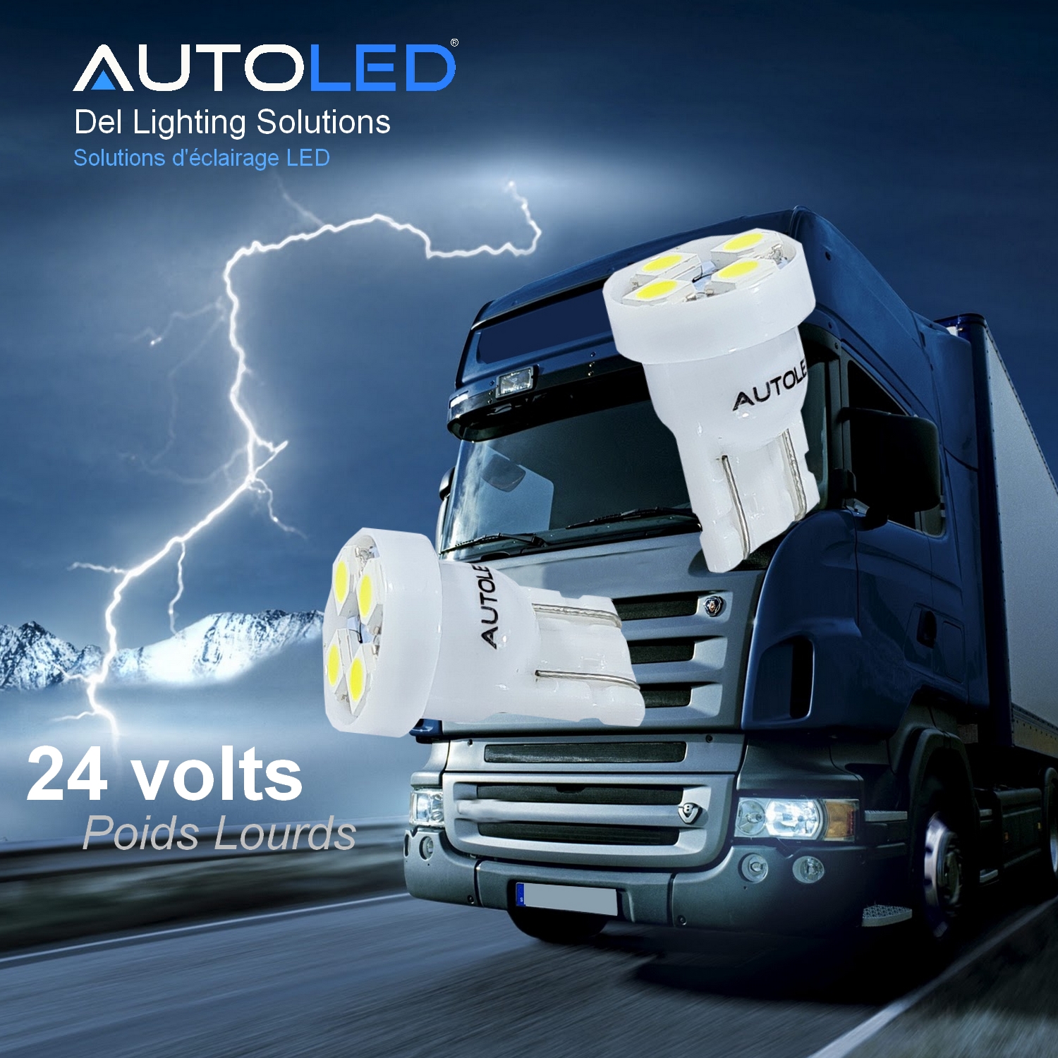 Ampoule LED W5W Camion poids lourds – plaque, intérieur, feux de position-0274-2