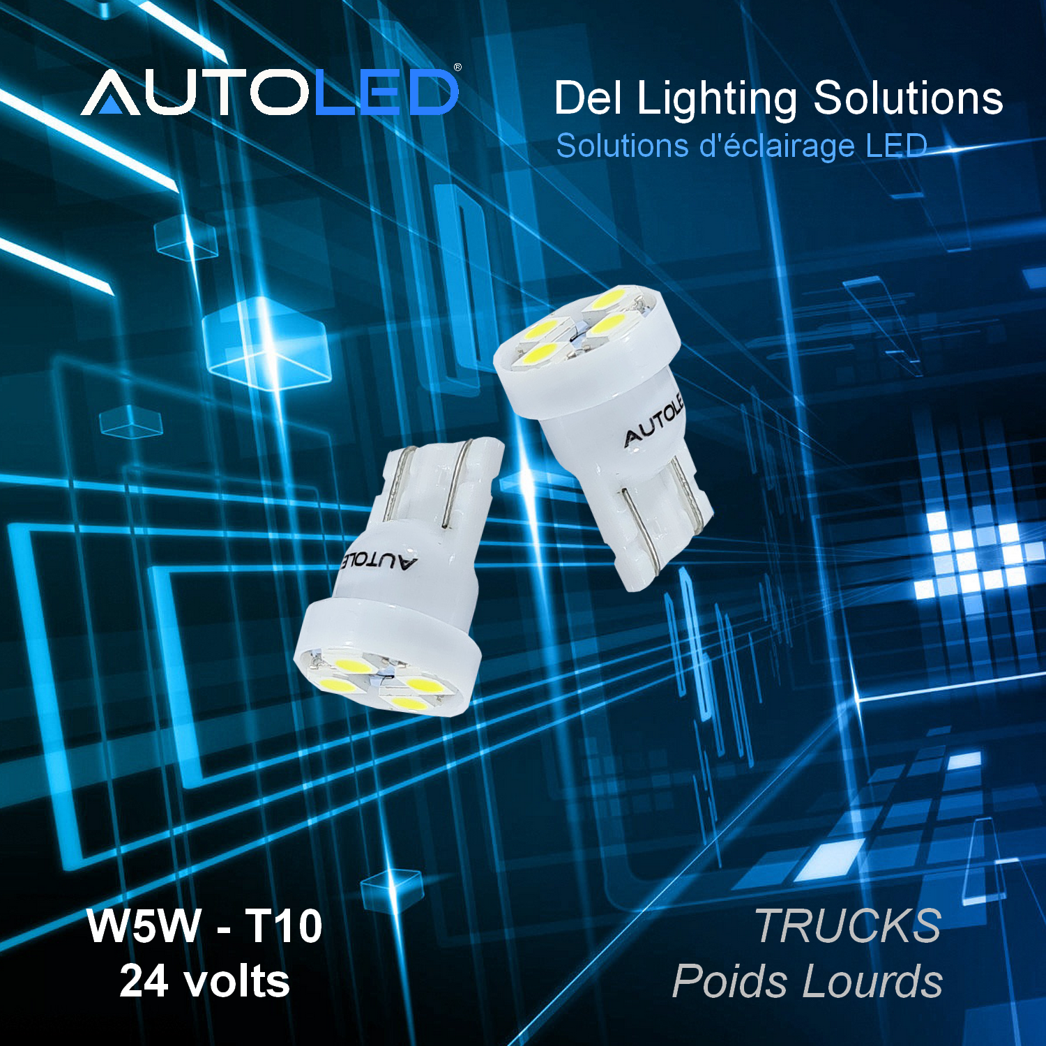 Ampoule LED W5W Camion poids lourds – plaque, intérieur, feux de position-0274-7