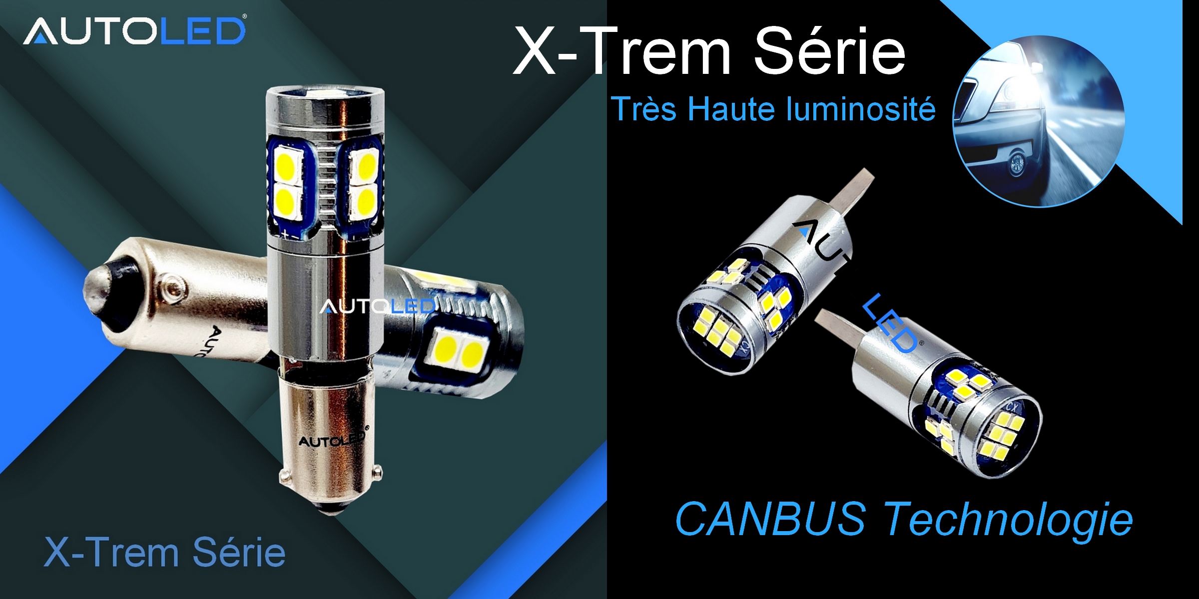 ampoule LED H6W 24V 12v CANBUS pour camion automobile poids lourds-0290-15