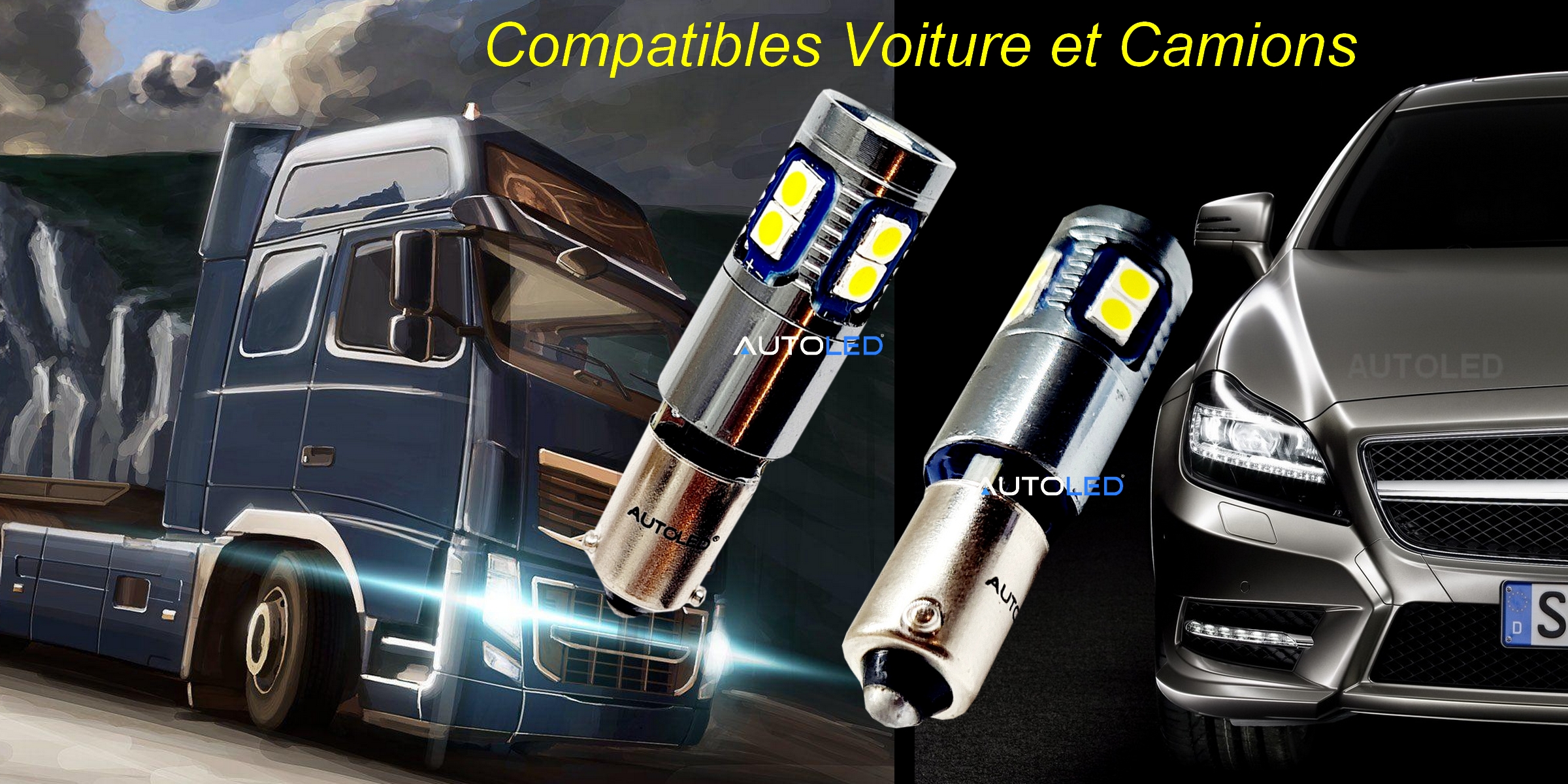 ampoule LED H6W 24V 12v CANBUS pour camion automobile poids lourds-0290-8