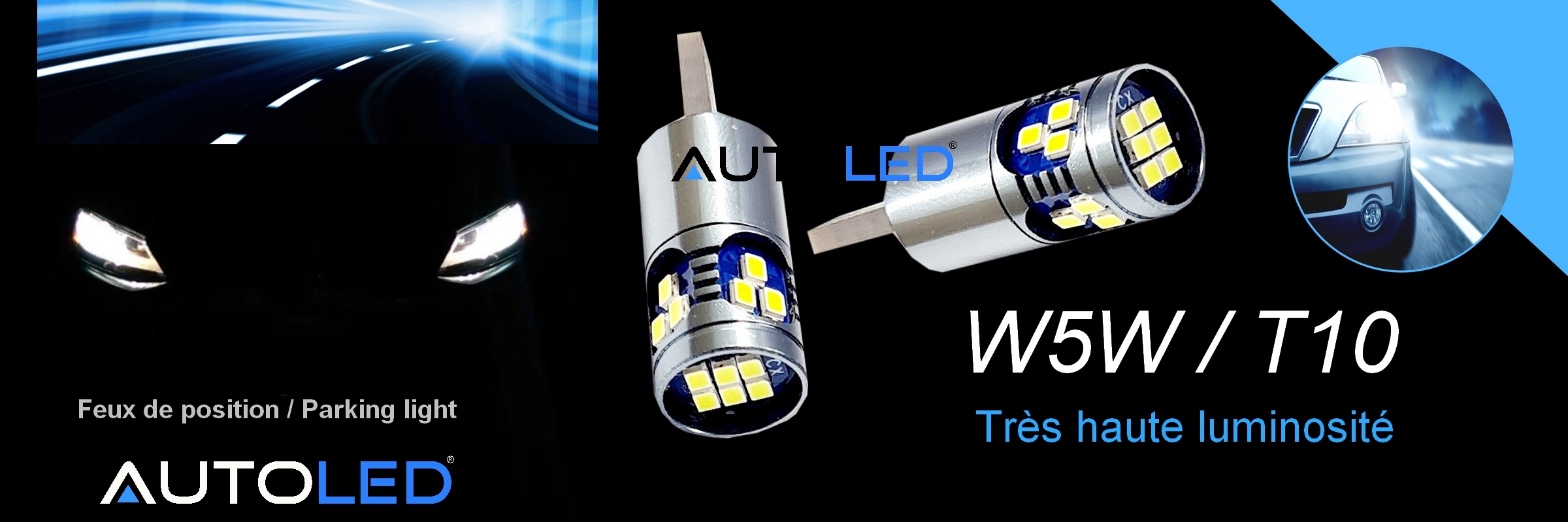 ampoule LED W5W 24V 12v CANBUS pour camion automobile poids lourds-0288-8