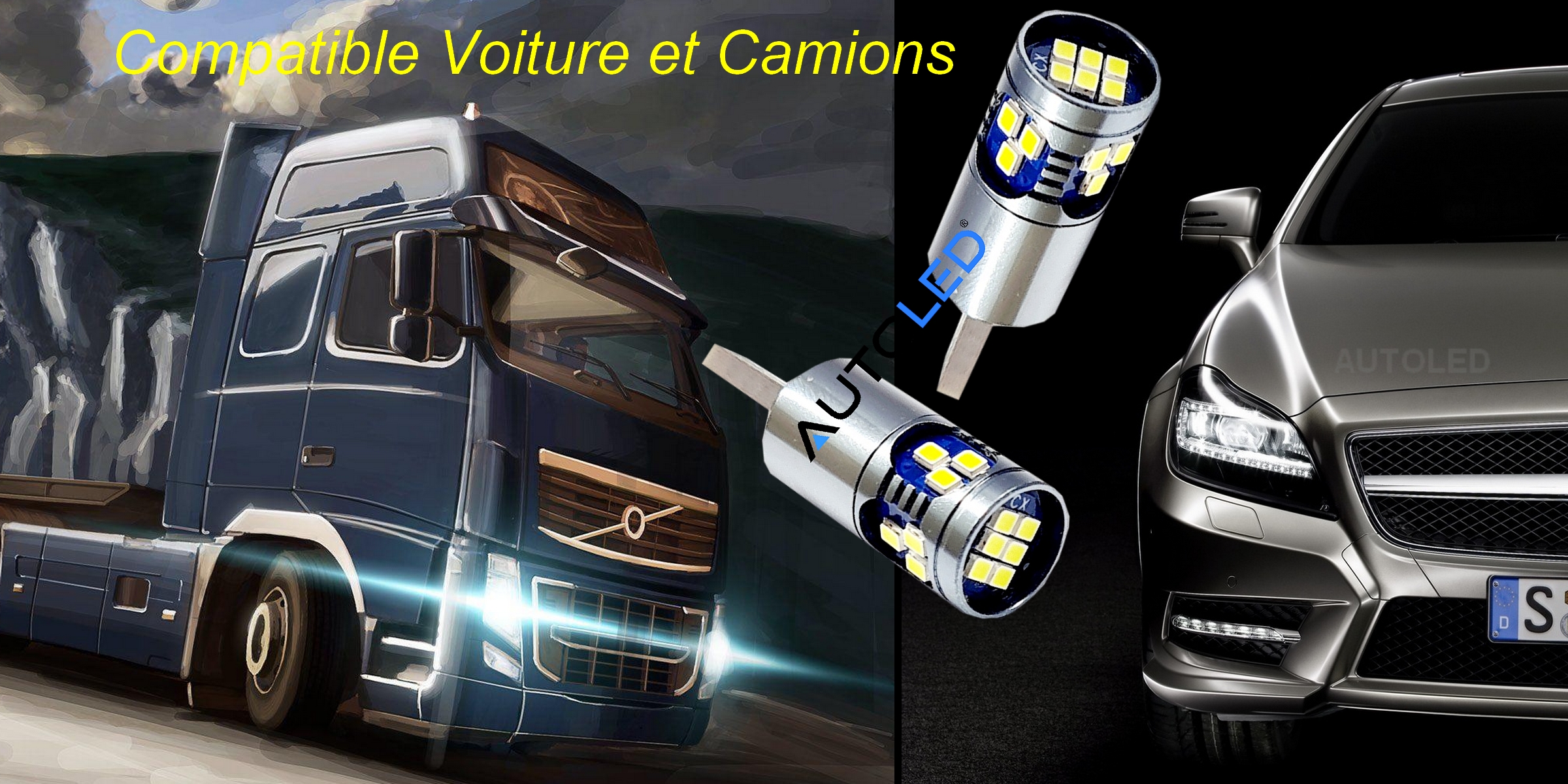 gamme ampoule LED W5W 24V 12v CANBUS pour camion automobile poids lourds-0288-13